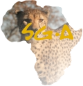 Safari Gold Africa wealthbuilding in south africa